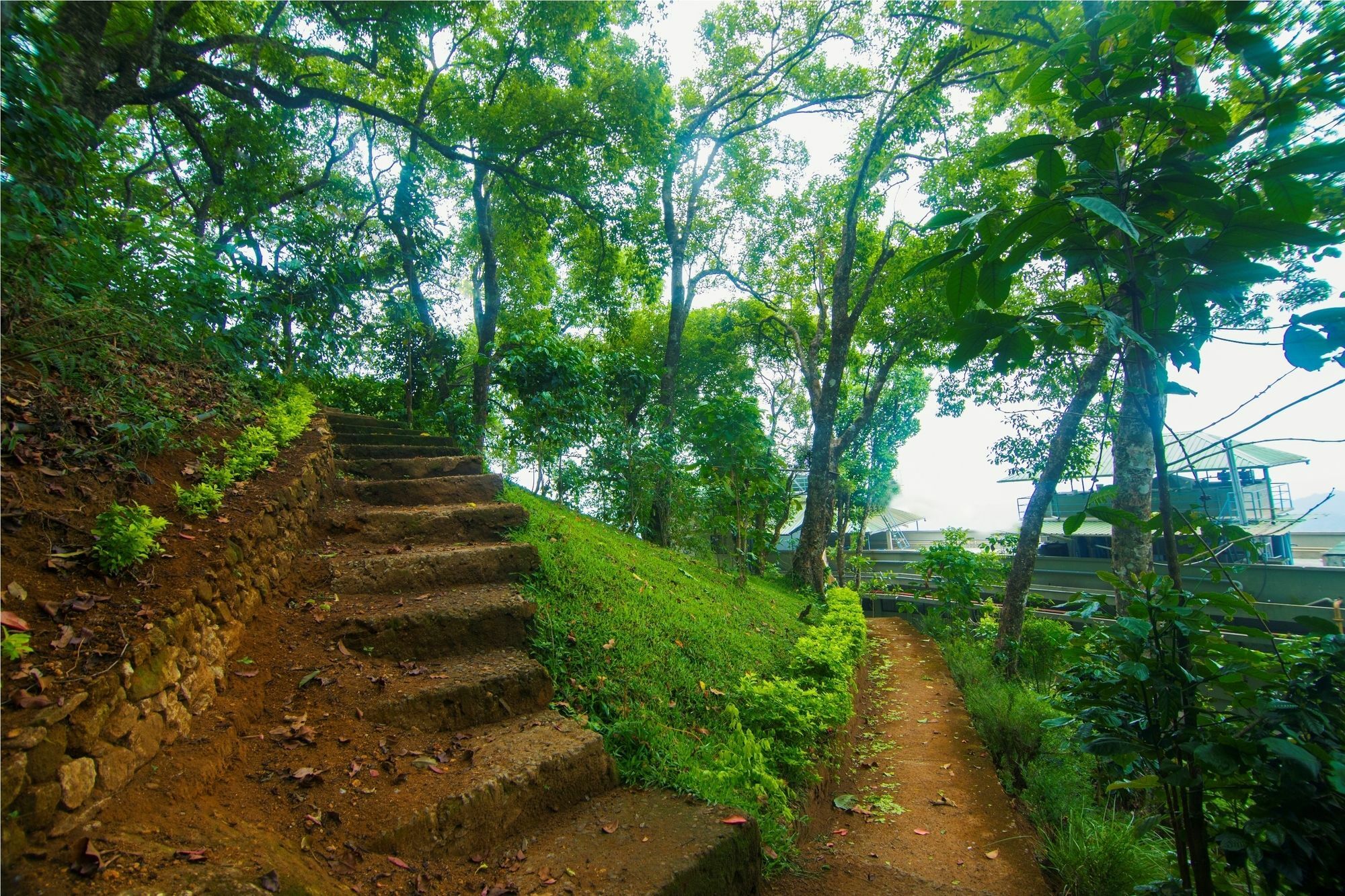 Forest Glade Resorts Chithirapuram Esterno foto
