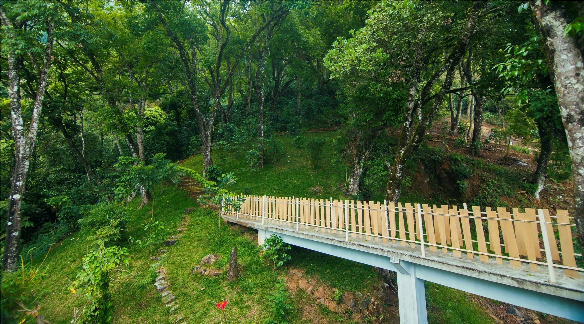 Forest Glade Resorts Chithirapuram Esterno foto